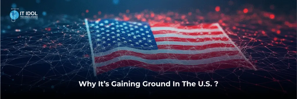 Why It’s Gaining Ground in the U.S. | IT IDOL Technologies