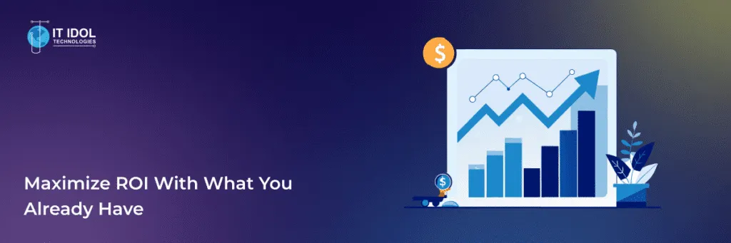 Maximize ROI with What You Already Have | IT IDOL Technologies