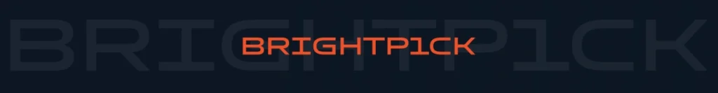 10. Brightpick | IT IDOL Technologies